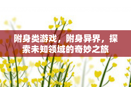 附身类游戏，附身异界，探索未知领域的奇妙之旅