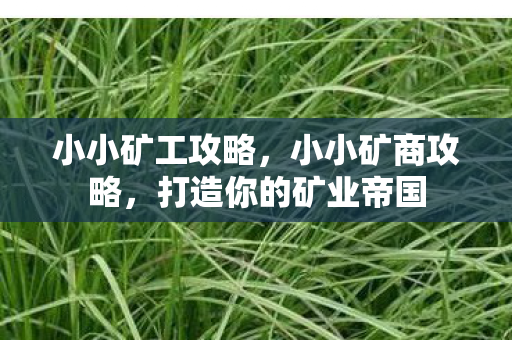小小矿工攻略，小小矿商攻略，打造你的矿业帝国