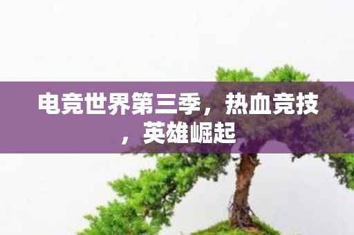 电竞世界第三季,热血竞技,英雄崛起 电竞世界第三季,热血竞技,英雄崛起