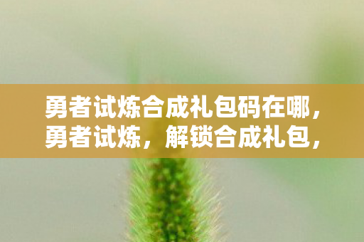 勇者试炼合成礼包码在哪,勇者试炼,解锁合成礼包,探索无限可能 勇者试炼合成礼包码在哪,勇者试炼,解锁合成礼包,探索无限可能