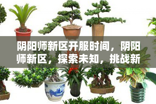 阴阳师新区开服时间,阴阳师新区,探索未知,挑战新极限 阴阳师新区开服时间,阴阳师新区,探索未知,挑战新极限
