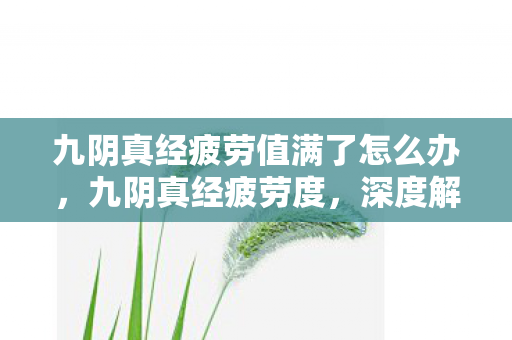 九阴真经疲劳值满了怎么办,九阴真经疲劳度,深度解析与应对策略 九阴真经疲劳值满了怎么办,九阴真经疲劳度,深度解析与应对策略