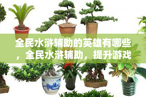 全民水浒辅助的英雄有哪些,全民水浒辅助,提升游戏体验的利器 全民水浒辅助的英雄有哪些,全民水浒辅助,提升游戏体验的利器
