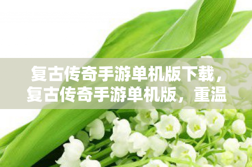 复古传奇手游单机版下载，复古传奇手游单机版，重温经典，独享传奇