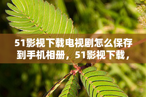 51影视下载电视剧怎么保存到手机相册,51影视下载,便捷观影新体验 51影视下载电视剧怎么保存到手机相册,51影视下载,便捷观影新体验