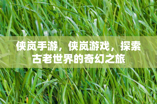 侠岚手游,侠岚游戏,探索古老世界的奇幻之旅 侠岚手游,侠岚游戏,探索古老世界的奇幻之旅