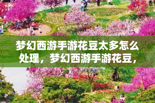 梦幻西游手游花豆太多怎么处理,梦幻西游手游花豆,解锁游戏新世界的神秘钥匙 梦幻西游手游花豆太多怎么处理,梦幻西游手游花豆,解锁游戏新世界的神秘钥匙