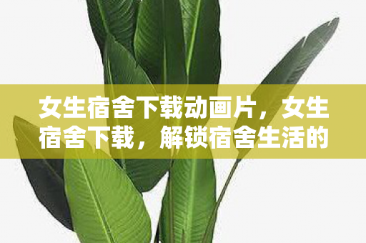 女生宿舍下载动画片,女生宿舍下载,解锁宿舍生活的便捷神器 女生宿舍下载动画片,女生宿舍下载,解锁宿舍生活的便捷神器