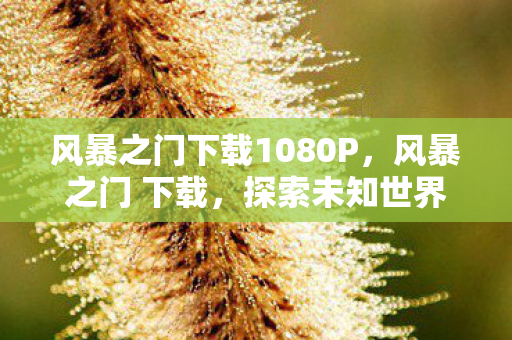 风暴之门下载1080P,风暴之门 下载,探索未知世界的数字钥匙 风暴之门下载1080P,风暴之门 下载,探索未知世界的数字钥匙
