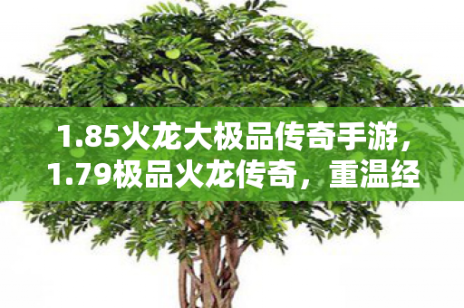 1.85火龙大极品传奇手游,1.79极品火龙传奇,重温经典,再燃激情 1.85火龙大极品传奇手游,1.79极品火龙传奇,重温经典,再燃激情