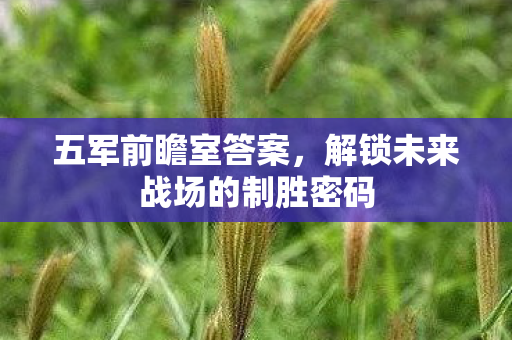 五军前瞻室答案,解锁未来战场的制胜密码 五军前瞻室答案,解锁未来战场的制胜密码