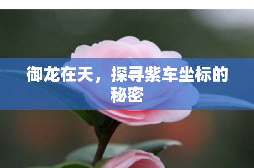 御龙在天,探寻紫车坐标的秘密 御龙在天,探寻紫车坐标的秘密