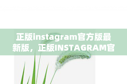 正版instagram官方版最新版,正版INSTAGRAM官方版,探索创意与社交的无限可能 正版instagram官方版最新版,正版INSTAGRAM官方版,探索创意与社交的无限可能