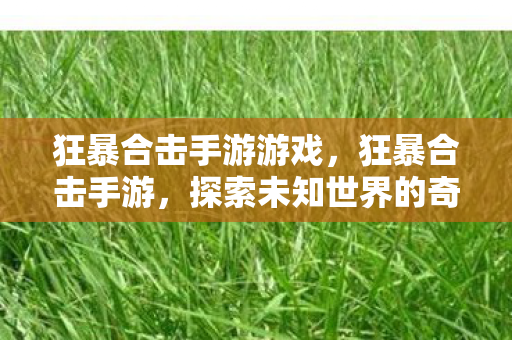 狂暴合击手游游戏,狂暴合击手游,探索未知世界的奇幻之旅 狂暴合击手游游戏,狂暴合击手游,探索未知世界的奇幻之旅