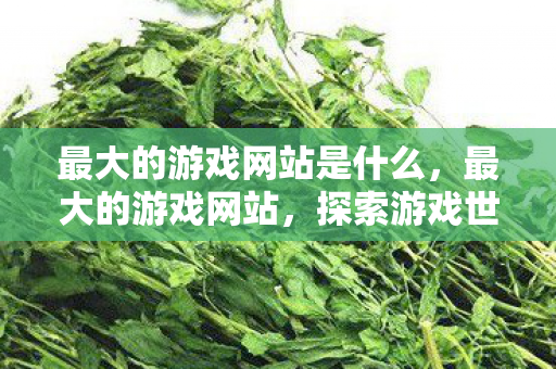 最大的游戏网站是什么,最大的游戏网站,探索游戏世界的无限可能 最大的游戏网站是什么,最大的游戏网站,探索游戏世界的无限可能