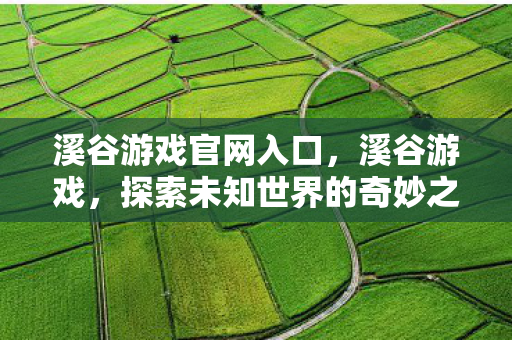 溪谷游戏官网入口，溪谷游戏，探索未知世界的奇妙之旅