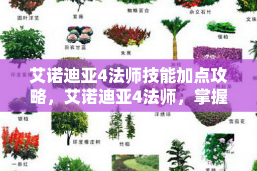 艾诺迪亚4法师技能加点攻略,艾诺迪亚4法师,掌握元素之力的神秘存在 艾诺迪亚4法师技能加点攻略,艾诺迪亚4法师,掌握元素之力的神秘存在