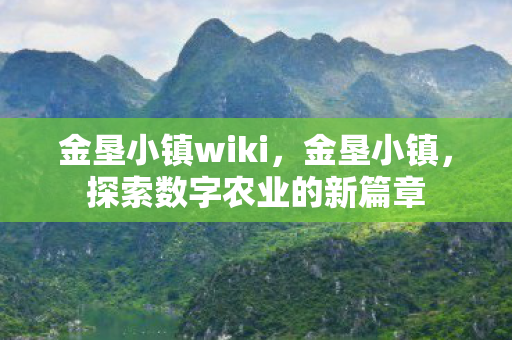 金垦小镇wiki,金垦小镇,探索数字农业的新篇章 金垦小镇wiki,金垦小镇,探索数字农业的新篇章