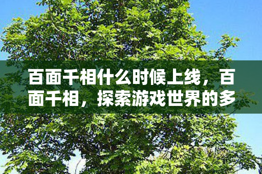 百面千相什么时候上线，百面千相，探索游戏世界的多元面貌