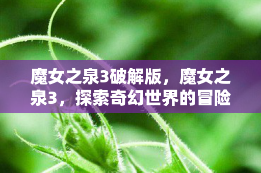魔女之泉3破解版,魔女之泉3,探索奇幻世界的冒险之旅 魔女之泉3破解版,魔女之泉3,探索奇幻世界的冒险之旅