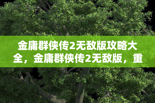 金庸群侠传2无敌版攻略大全,金庸群侠传2无敌版,重温经典,畅享无限江湖 金庸群侠传2无敌版攻略大全,金庸群侠传2无敌版,重温经典,畅享无限江湖