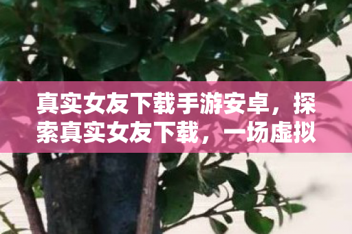 真实女友下载手游安卓,探索真实女友下载,一场虚拟与现实交织的浪漫之旅 真实女友下载手游安卓,探索真实女友下载,一场虚拟与现实交织的浪漫之旅