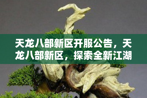 天龙八部新区开服公告，天龙八部新区，探索全新江湖，体验无限可能