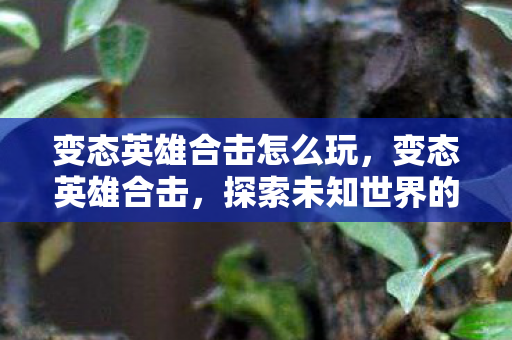 变态英雄合击怎么玩,变态英雄合击,探索未知世界的奇妙之旅 变态英雄合击怎么玩,变态英雄合击,探索未知世界的奇妙之旅