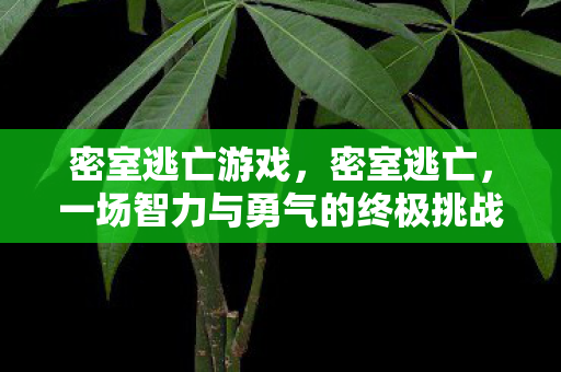 密室逃亡游戏,密室逃亡,一场智力与勇气的终极挑战 密室逃亡游戏,密室逃亡,一场智力与勇气的终极挑战