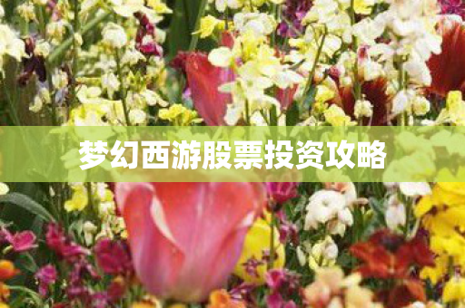 梦幻西游股票投资攻略 梦幻西游股票投资攻略