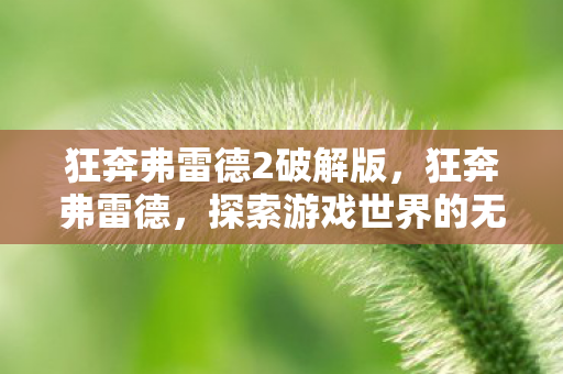 狂奔弗雷德2破解版,狂奔弗雷德,探索游戏世界的无限可能 狂奔弗雷德2破解版,狂奔弗雷德,探索游戏世界的无限可能