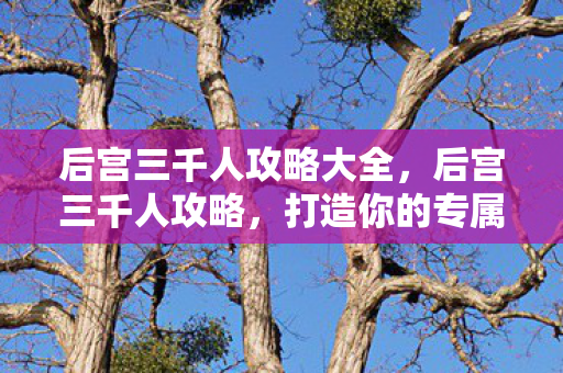 后宫三千人攻略大全,后宫三千人攻略,打造你的专属后宫 后宫三千人攻略大全,后宫三千人攻略,打造你的专属后宫