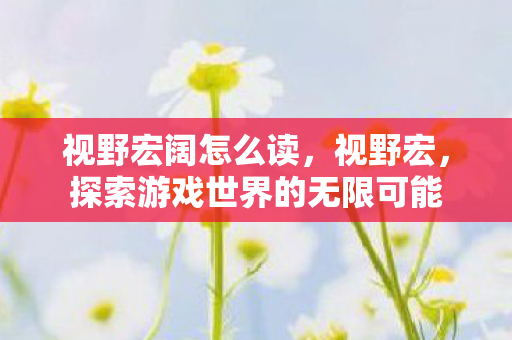 视野宏阔怎么读,视野宏,探索游戏世界的无限可能 视野宏阔怎么读,视野宏,探索游戏世界的无限可能