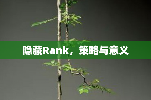 隐藏Rank,策略与意义 隐藏Rank,策略与意义