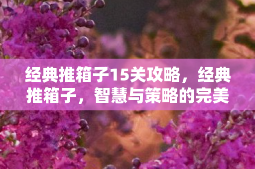 经典推箱子15关攻略，经典推箱子，智慧与策略的完美融合