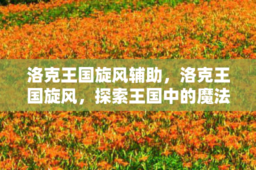 洛克王国旋风辅助,洛克王国旋风,探索王国中的魔法与冒险 洛克王国旋风辅助,洛克王国旋风,探索王国中的魔法与冒险