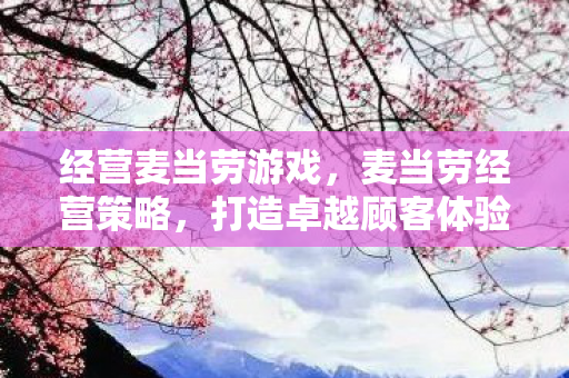 经营麦当劳游戏,麦当劳经营策略,打造卓越顾客体验与品牌忠诚度 经营麦当劳游戏,麦当劳经营策略,打造卓越顾客体验与品牌忠诚度