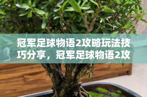 冠军足球物语2攻略玩法技巧分享,冠军足球物语2攻略,打造无敌球队的秘诀 冠军足球物语2攻略玩法技巧分享,冠军足球物语2攻略,打造无敌球队的秘诀