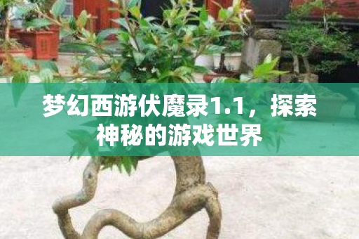 梦幻西游伏魔录1.1，探索神秘的游戏世界