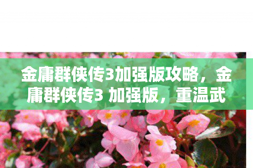 金庸群侠传3加强版攻略,金庸群侠传3 加强版,重温武侠梦,再续江湖情 金庸群侠传3加强版攻略,金庸群侠传3 加强版,重温武侠梦,再续江湖情