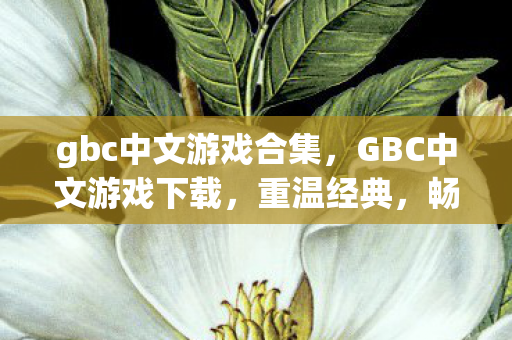 gbc中文游戏合集,GBC中文游戏下载,重温经典,畅享无限乐趣 gbc中文游戏合集,GBC中文游戏下载,重温经典,畅享无限乐趣