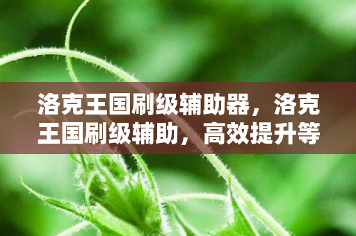 洛克王国刷级辅助器,洛克王国刷级辅助,高效提升等级的策略与技巧 洛克王国刷级辅助器,洛克王国刷级辅助,高效提升等级的策略与技巧