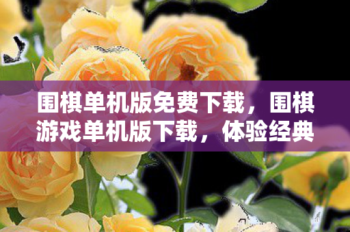 围棋单机版免费下载,围棋游戏单机版下载,体验经典棋艺的绝佳选择 围棋单机版免费下载,围棋游戏单机版下载,体验经典棋艺的绝佳选择