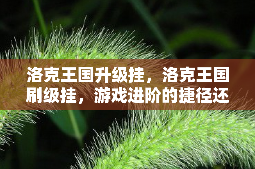 洛克王国升级挂,洛克王国刷级挂,游戏进阶的捷径还是陷阱? 洛克王国升级挂,洛克王国刷级挂,游戏进阶的捷径还是陷阱?