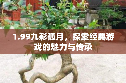 1.99九彩孤月,探索经典游戏的魅力与传承 1.99九彩孤月,探索经典游戏的魅力与传承