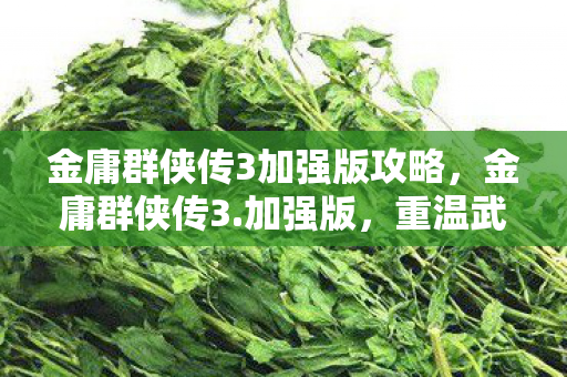 金庸群侠传3加强版攻略，金庸群侠传3.加强版，重温武侠梦，再续江湖情