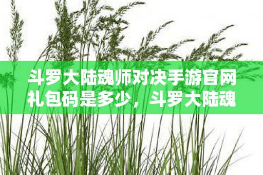 斗罗大陆魂师对决手游官网礼包码是多少,斗罗大陆魂师对决手游,官网礼包码助你畅游斗罗世界 斗罗大陆魂师对决手游官网礼包码是多少,斗罗大陆魂师对决手游,官网礼包码助你畅游斗罗世界