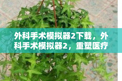 外科手术模拟器2下载,外科手术模拟器2,重塑医疗教育的未来 外科手术模拟器2下载,外科手术模拟器2,重塑医疗教育的未来