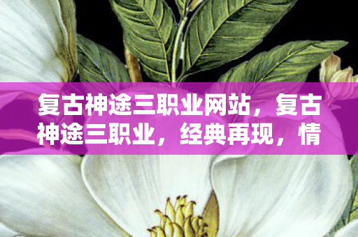 复古神途三职业网站，复古神途三职业，经典再现，情怀与激情的碰撞