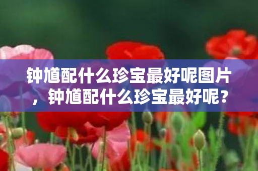 钟馗配什么珍宝最好呢图片，钟馗配什么珍宝最好呢？